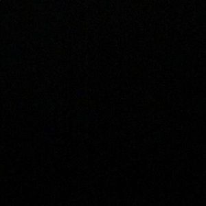 Meet your Posher, Tyeshica